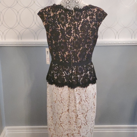 Eliza J Lace Ivory Black Peplum Cocktail Dress - Picture 3 of 4